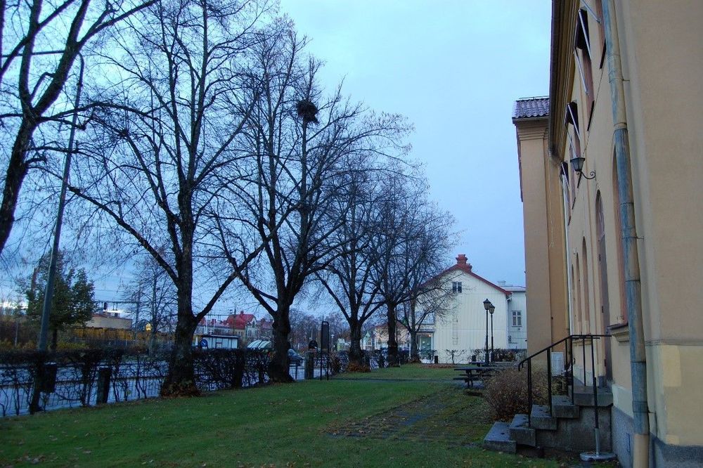 Befintlig trädgård framför Tingshuset (Foto: Ljusdals kommun, 2022-10-27). 